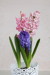 Similar image 21351957