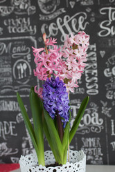 Similar image 21351958