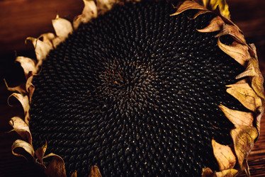 Similar image 21356702