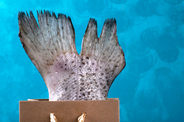 Similar image 21352352