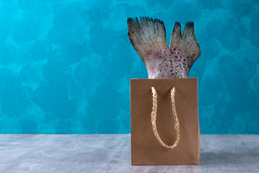 Similar image 21352353