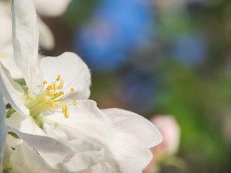 Similar image 21351960