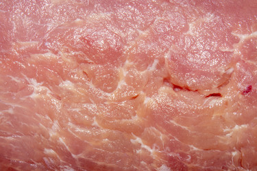 Similar image 21351962