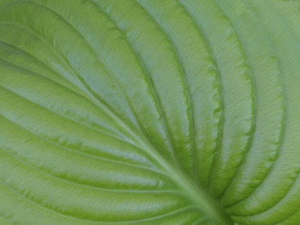 Similar image 21351979