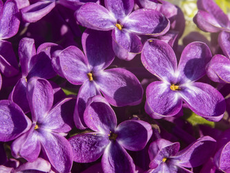 Similar image 21351980