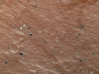 Similar image 21351982