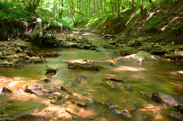 Similar image 21352354