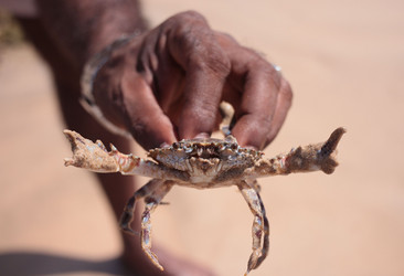 Similar image 21352355