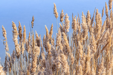 Similar image 21356041