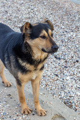 Similar image 21356043