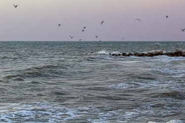 Similar image 21356046