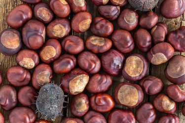 Similar image 21356080