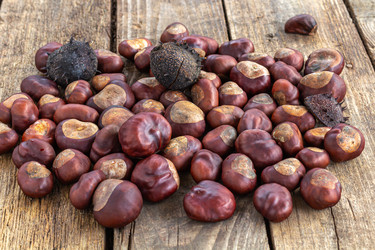 Similar image 21356081