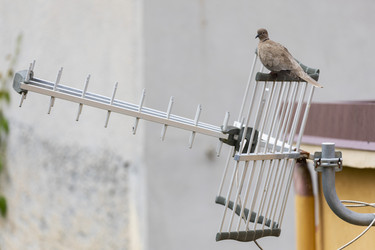 Similar image 21356816