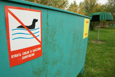 Similar image 21356850