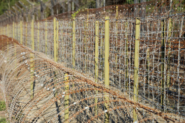 Similar image 21356854