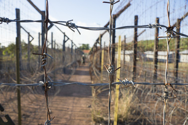 Similar image 21356855