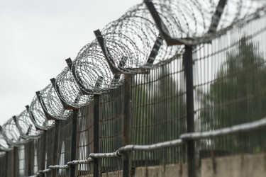 Similar image 21356856