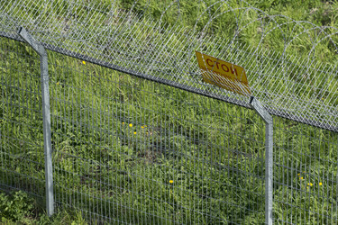 Similar image 21356858