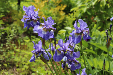 Similar image 21354196