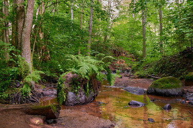 Similar image 21353284