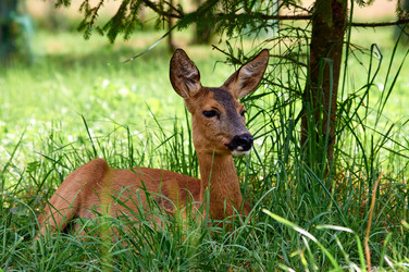 Similar image 21353286