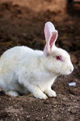 Similar image 21353287