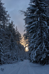 Similar image 21353288