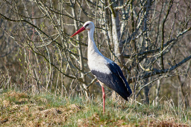 Similar image 21353289