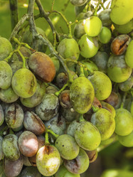 Similar image 21352761