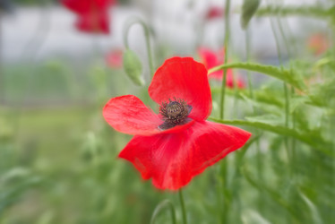 Similar image 21353806