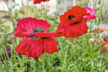 Similar image 21353807