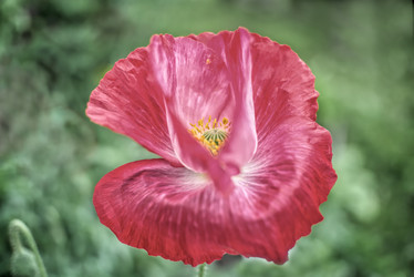 Similar image 21353809