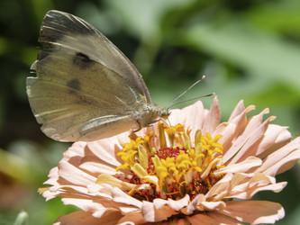 Similar image 21352763