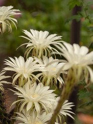 Similar image 21352764