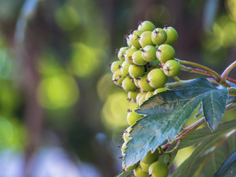 Similar image 21352768