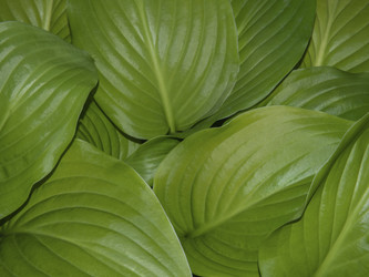 Similar image 21352769