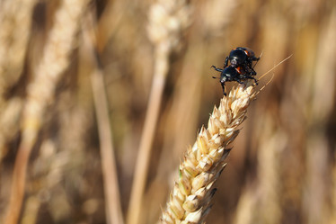 Similar image 21352771