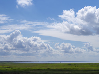 Similar image 21352772