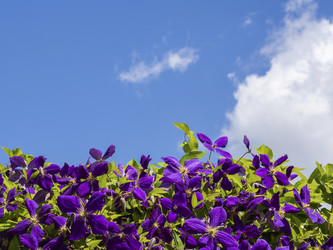 Similar image 21352773