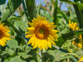 Similar image 21352774