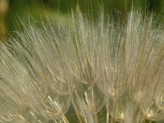 Similar image 21352777