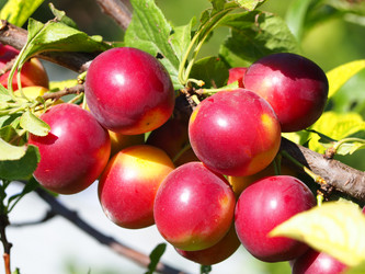 Similar image 21352781