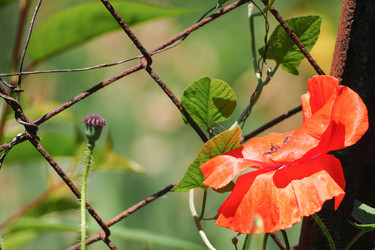 Similar image 21352784