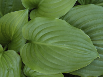 Similar image 21352785