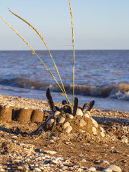 Similar image 21352786