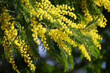 Similar image 21353294