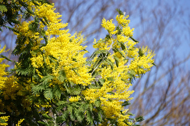 Similar image 21353295