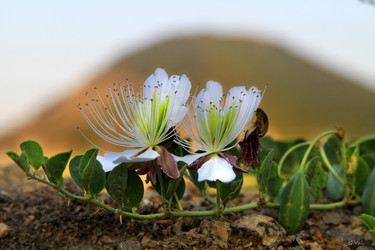 Similar image 21353308