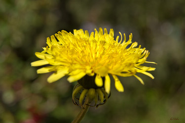 Similar image 21353309